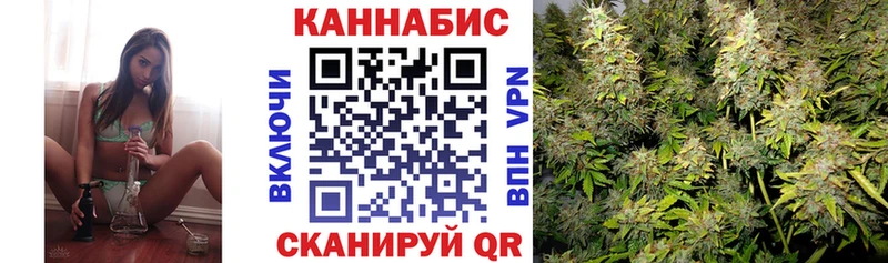 Где найти наркотики Абакан Codein  Alpha PVP  Меф мяу мяу  Каннабис  АМФ 