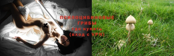не бодяженный Абинск